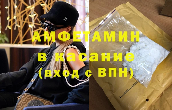 гидра Верея