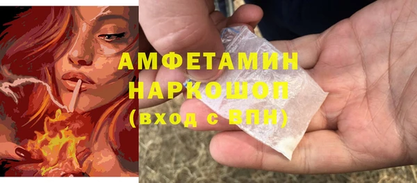 гидра Верея